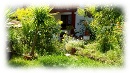 Gartenfoto