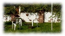 Gartenfoto